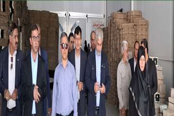 افتتاحیه پروژه عنبراباد هفته دولت